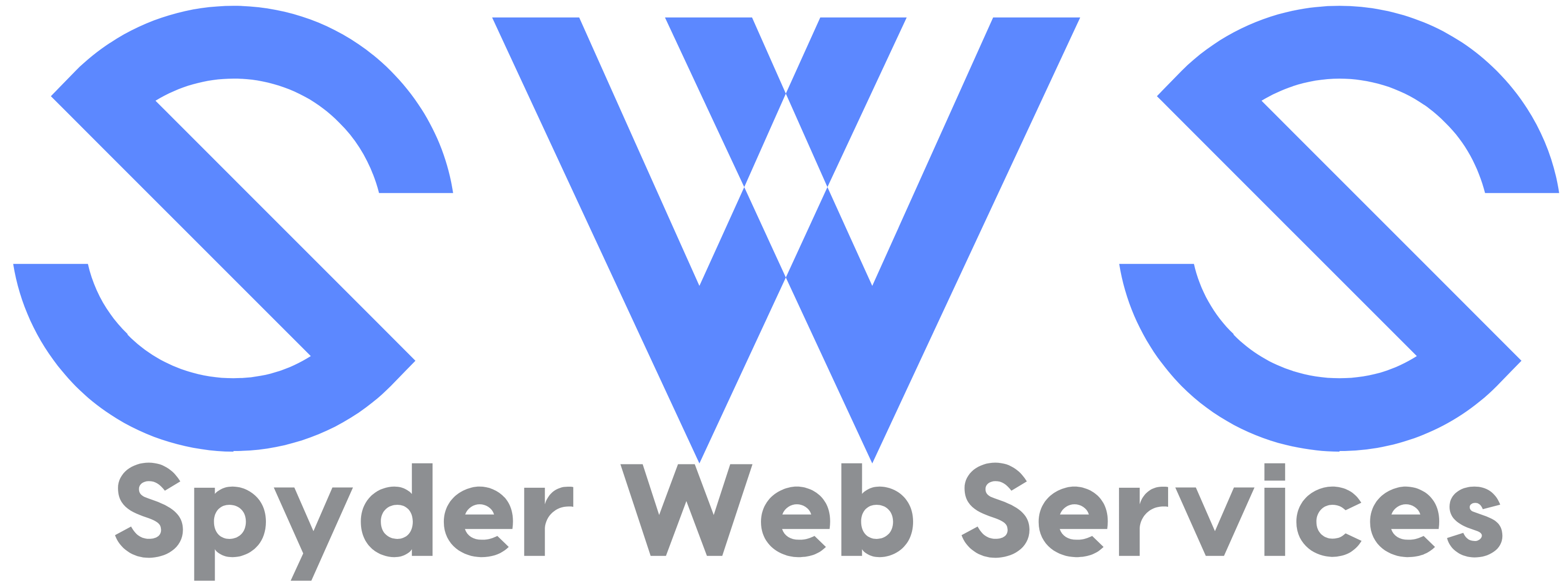 Spyder Web Services LLC